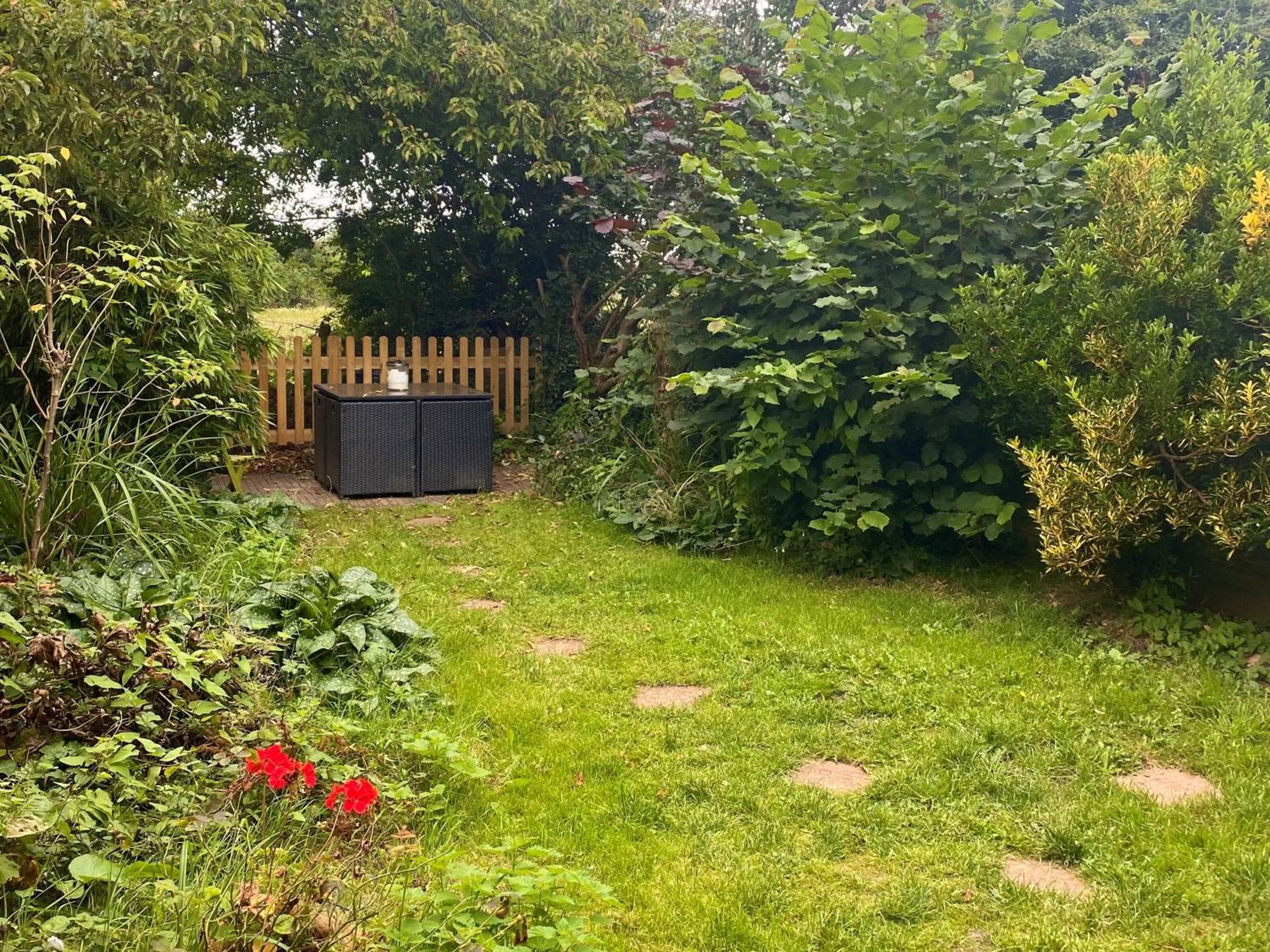 Bumblebee Cottage - Cosy Cottage In Area Of Outstanding Natural Beauty ヘメル・ヘムステッド エクステリア 写真